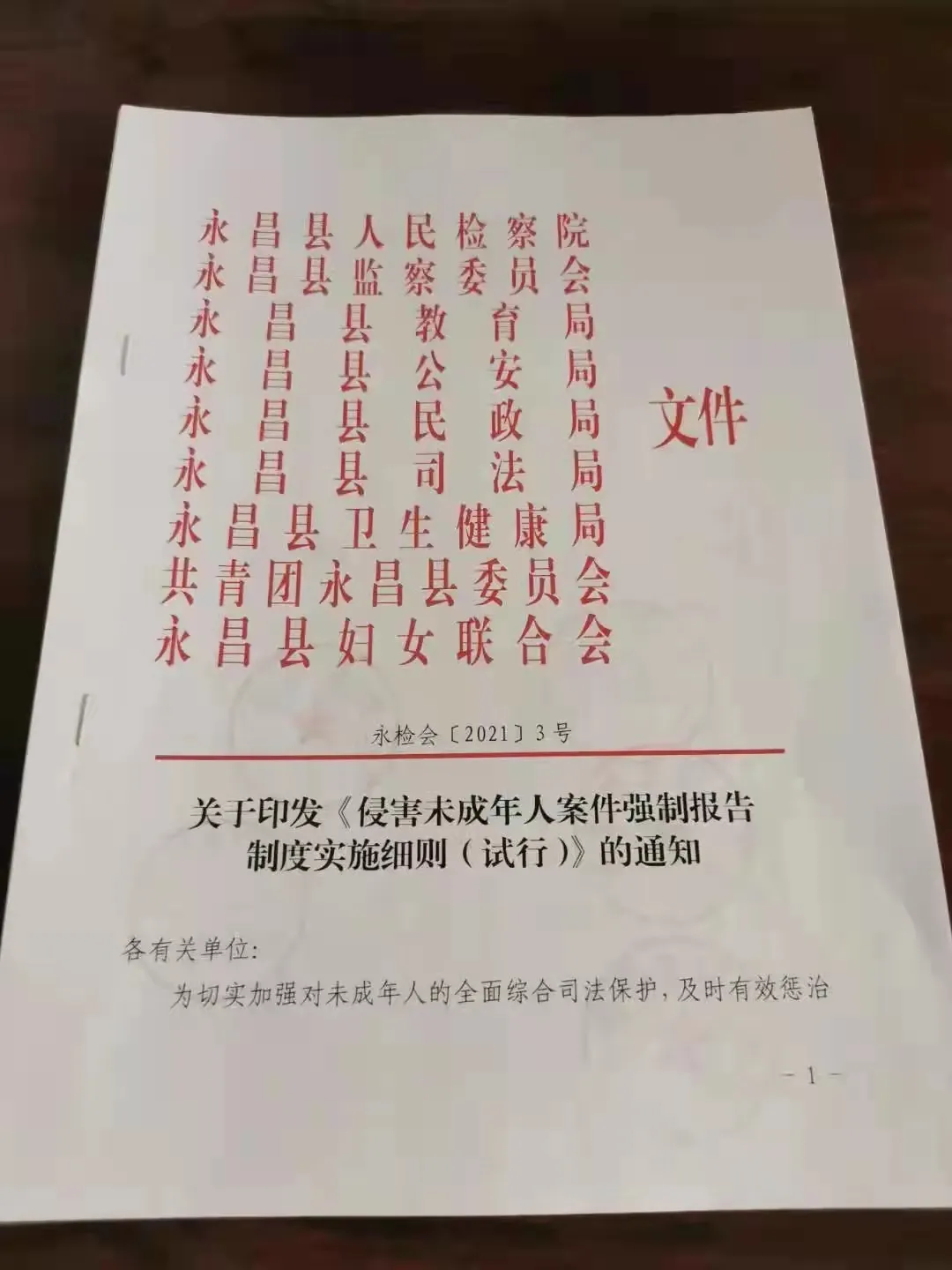【年度工作】金昌市人民检察院2021年度未成年人检察工作简述