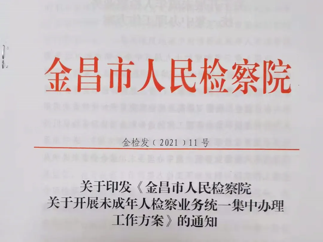 【年度工作】金昌市人民检察院2021年度未成年人检察工作简述