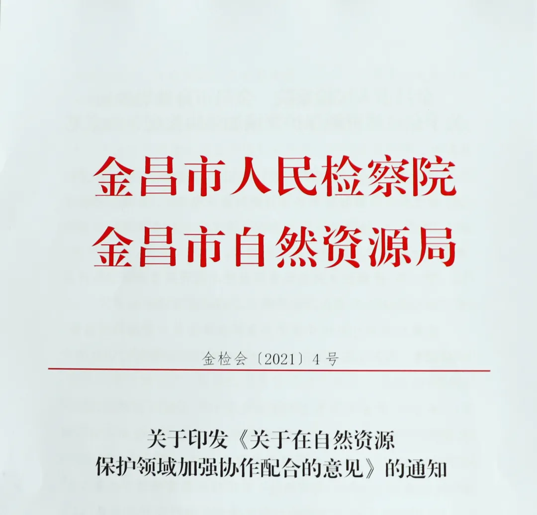 【年度工作】金昌市人民检察院第五检察部2021年度工作简述
